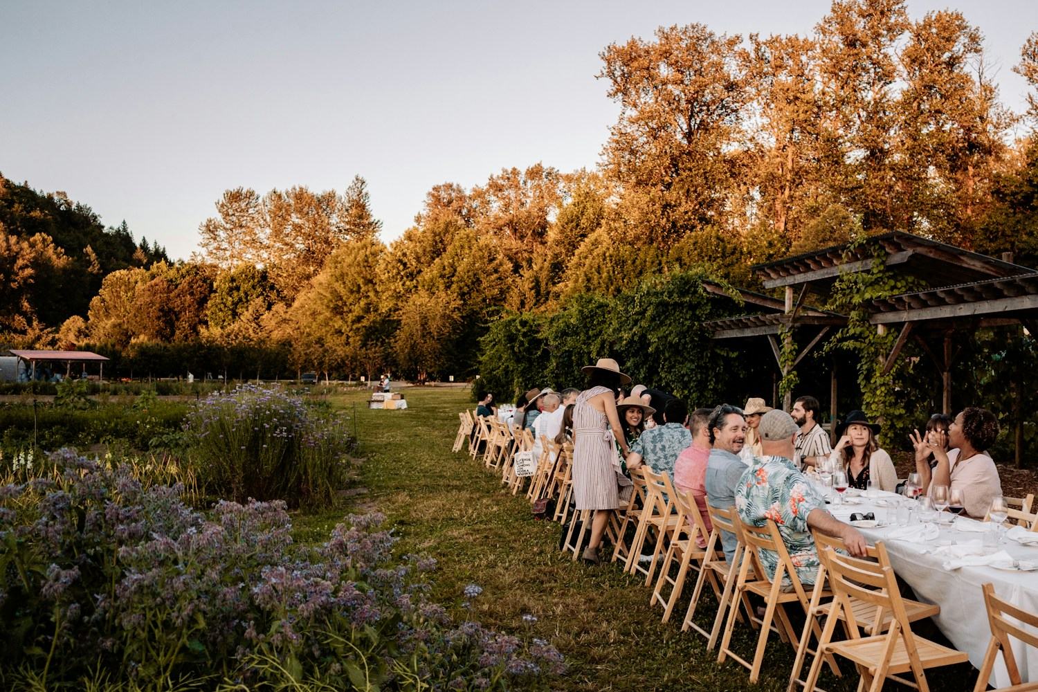 Sommerfest organisieren lassen – lange Festtafel im Freien im Abendlicht